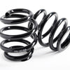 CAtuned Coilover System Compatible with E30