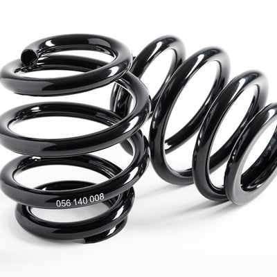 CAtuned TARMAC RALLY Coilover System Compatible with E30