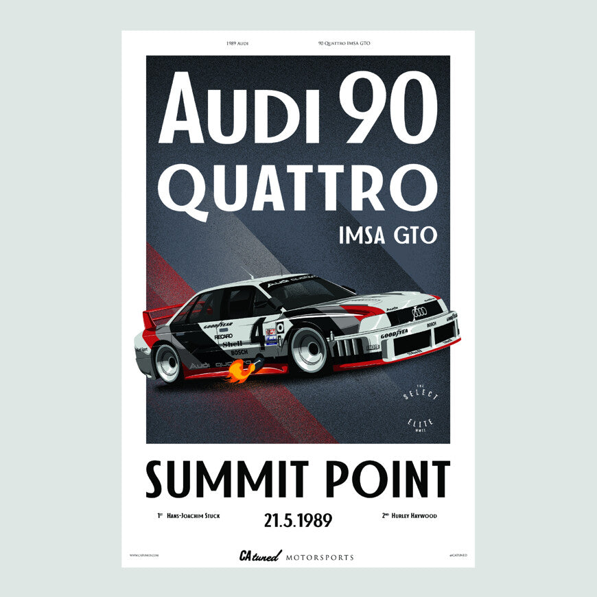 Limited Edition Audi IMSA Poster (25