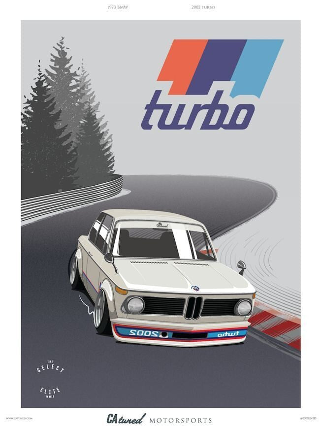 2002 Turbo CAtuned Track Poster (18x24) Print